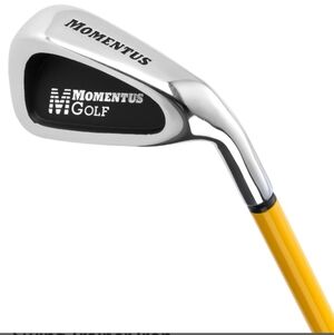 Momentus Swing Trainer Aid